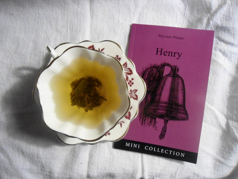 Henry, livre de la Mini Collection